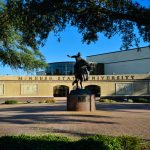 McNeese Cowboy